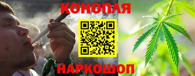 прущие крисы Краснознаменск