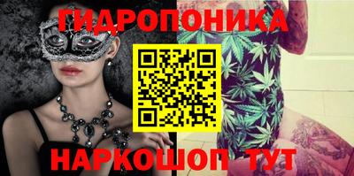 прущие крисы Краснознаменск