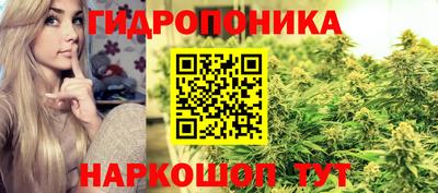 прущие крисы Краснознаменск