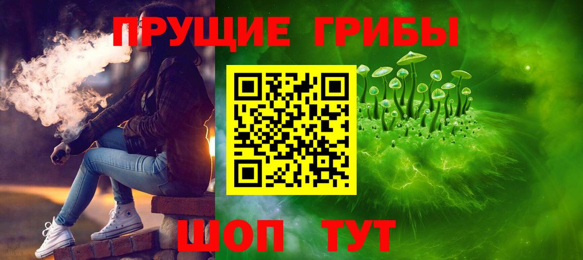 Камышин  Псилоцибиновые грибы ЛСД  Псилоцибиновые грибы ЛСД  Вход с VPN 